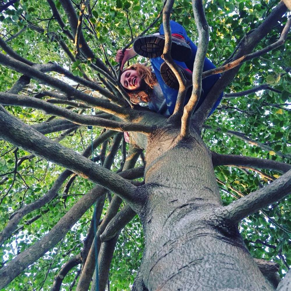 Meet your Posher, Emmie